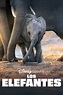 (Gratis Ver) Los elefantes 2020 Película Completa Español Latino