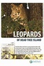 ‎Leopards of Dead Tree Island (2010) directed by Graeme Duane • Reviews ...