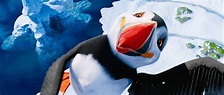 Foto de Happy Feet 2 - Foto 35 sobre 62 - SensaCine.com