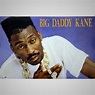 Big Daddy Kane Poster (1988) – Nostalgia King