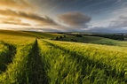 The Lincolnshire Wolds AONB: The beauty spot where Tennyson found 'calm ...