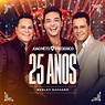 ‎João Neto & Frederico 25 Anos Ao Vivo - Single — álbum de João Neto ...