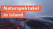 Vulkanausbruch auf Island - Nachrichten - WDR - Nachrichten - WDR