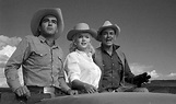 THE MISFITS, 1961, Marilyn Monroe, Clark Gable, Montgomery Clift, John ...