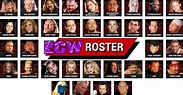 ECW Roster in Year 1993: Full List of Wrestlers