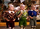We represent the Lollypop Guild . | Wizard of oz 1939, Wizard of oz ...