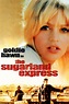 The Sugarland Express (1974) - Rotten Tomatoes