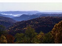 Cohutta Wilderness Area | Official Georgia Tourism & Travel Website ...