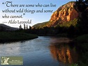 Pin by Heidi Brady on Wilderness Quotes | Nature quotes, Aldo leopold ...