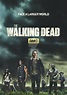 Ver Series Online Gratis The Walking Dead Temporada 6 - roorimirar