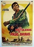 "PISTOLEROS DE PASO BRAVO, LOS" MOVIE POSTER - "UNO STRANIERO A PASO ...