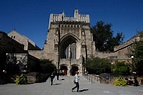 Yale University racism on campus - Business Insider