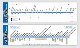 Transit Maps: Quick Redesign: Charlotte LYNX Blue Line Strip Map