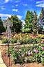 A Visit to Dahlia Hill in Midland, Michigan – Creative Living with Bren ...