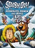 Scooby-doo! E O Abominável Homem Das Neves - Dvd | Mercado Livre