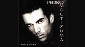 Pedro Moctezuma - Me Haces Falta - YouTube