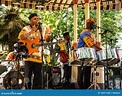 Calypso Band with Steel Drums Editorial Image - Image of drums ...