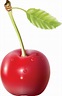 Cherries PNG Image - PurePNG | Free transparent CC0 PNG Image Library