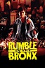 Rumble in the Bronx (1995) | The Poster Database (TPDb)