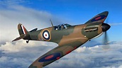 Spitfire Buried On Beach Up For Auction | UK News | Sky News