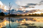 Hoje é o Dia do Pantanal, Patrimônio da Humanidade e Reserva da ...