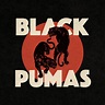 Colors - song and lyrics by Black Pumas | Spotify