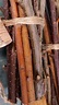 Craft Sticks Natural Northern Tree Wood Sticks Set Rustic - Etsy