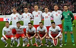 poland Team Info, Stats & Facts from Paddy Power
