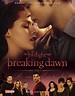 Biss zum Ende der Nacht / Die Twilight Saga - Breaking Dawn Teil 1 von ...