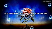 Zella Day & BROODS - Hand As My Arrow (Español - Lyrics) || Video ...