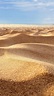 Arena del desierto Fondo de pantalla ID:2000