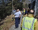 Man killed by falling tree | Local | newsitem.com
