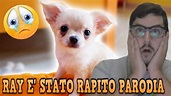 IL CANE RAY DEI ME CONTRO TE E STATO RAPITO - PARODIA - YouTube