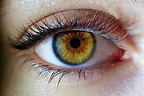 Identifican 50 nuevos genes que intervienen en el color de los ojos - BMN
