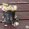 Happy Birthday parties and Birthday Quotes images - Happy Birthday Wishes, Memes, SMS & Greeting ...