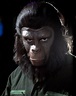 Eroberung vom Planet der Affen | Bild 3 von 11 | Moviepilot.de