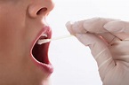 Brentwood TN Oral Health | Salivary Glands | Dentist in Brentwood, TN