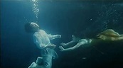 鍾麗緹度假潛水唯美照 網驚：是《人魚傳說》的小美！ | 娛樂星聞 | 三立新聞網 SETN.COM