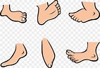 foot cartoon png - Clip Art Library