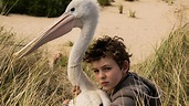 ‎Storm Boy (2019) directed by Shawn Seet • Reviews, film + cast ...