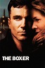 The Boxer (1997) — The Movie Database (TMDB)