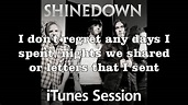 Shinedown - If You Only Knew (Acoustic iTunes Session) (with lyrics on ...