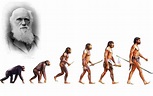 Opinião Nacional": Charles Darwin e a Teoria da Evolução Charles Darwin ...