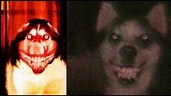Who's Smile Dog? - The Scary Story Behind The Creepypasta - Mundo Seriex