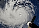 Florida Still Smothered by Red Tide as Hurricane Season Peaks