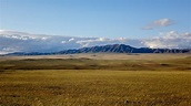Quali sono le differenze tra steppa, taiga e tundra?