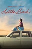 Little Bird - Série (2023) - SensCritique