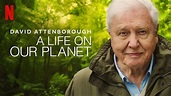 Netflix’s David Attenborough: A Life on Our Planet Review: A Heart ...