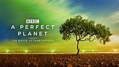 A Perfect Planet (TV Series 2021-2021) - Backdrops — The Movie Database ...