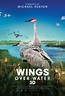 Wings Over Water (2022) Stream and Watch Online | Moviefone